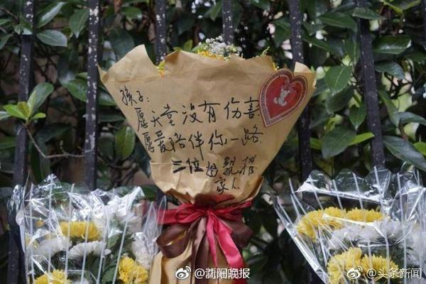 东部GM：贝兰热可能会成长为本届前五 他潜力无限且发育环境优渥